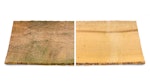 Vergleich von Schimmel- und Algenwachstum auf unbehandeltem Holz und sauberer, mit Roxil behandelter Holzoberfläche